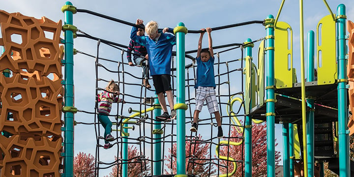 GeoPlex® Labyrinth Climber