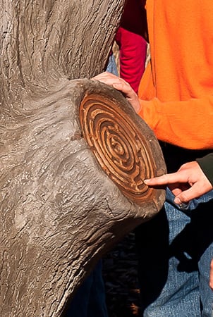 Close up of a child's hand tracing the age-ring tracing panel.